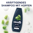 Shampoo for Men     schauma