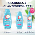 Sprüh-Conditioner Feuchtigkeit & Glanz schauma