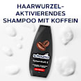 Shampoo Karbon Kraft 5 schauma