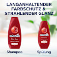 Conditioner Color Glanz  schauma
