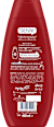 Shampoo Color Glanz schauma