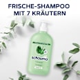 Shampoo 7 Kräuter schauma