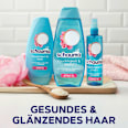 Shampoo Feuchtigkeit & Glanz schauma