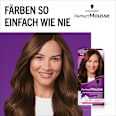 Haarfarbe Schaum 668 Haselnuss Schwarzkopf Perfect Mousse