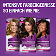 Haarfarbe Schaum 668 Haselnuss Schwarzkopf Perfect Mousse