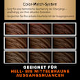 Ansatzset A1 Hell-bis Mittelbraun  Schwarzkopf DIADEM