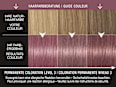 Haarfarbe Pantone 18-3530 Lavender Crystal Syoss