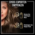 Haarfarbe 6-54 Kühles Dunkelblond Syoss Oleo Intense