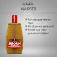 Haarwasser Schwarzkopf Seborin