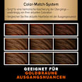 Ansatzset A2 Goldbraun  Schwarzkopf DIADEM