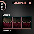 Haarfarbe 4_22 Leuchtendes Rot Syoss