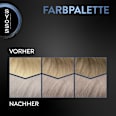 Haare Aufheller 12_59 Kühles Platinblond Syoss