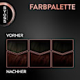 Haarfarbe 3_28 Dunkle Schokolade Syoss