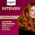 Haarfarbe 7-70/8-70 Terracotta Mittelblond Palette Intensive Color Creme