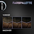 Haarfarbe 4_65 Chocolate Copper Syoss