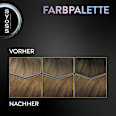 Haarfarbe 6_61 Caramel Gold Syoss