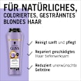 Shampoo Blonde Perfector Schwarzkopf GLISS