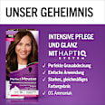Haarfarbe Schaum 668 Haselnuss Schwarzkopf Perfect Mousse