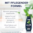 Shampoo For Men schauma