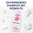 Shampoo Seiden-Kamm schauma