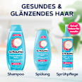 Shampoo Feuchtigkeit & Glanz schauma