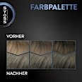 Haarfarbe 6_46 Kühles Dunkelblond Syoss