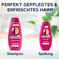 Shampoo Fresh it up! schauma