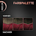 Haarfarbe 5_29 Intensives Rot Syoss