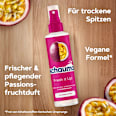 Sprüh-Conditioner Fresh it Up! schauma