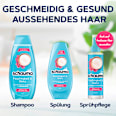 Conditioner Feuchtigkeit & Glanz schauma