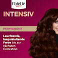 Haarfarbe 3-68/878 Mahagoni Palette Intensive Color Creme