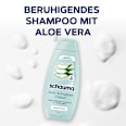 Shampoo Anti-Schuppen Classic schauma