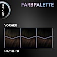 Haarfarbe 3_89 Bronze Coffee Syoss