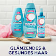 Shampoo Feuchtigkeit & Glanz schauma