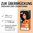 Ansatzset A4 Dunkelbraun Schwarzkopf