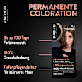 Haarfarbe 6_1 Natürliches Dunkelblond Syoss