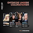 Haarfarbe 6_1 Natürliches Dunkelblond Syoss
