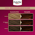 Haarfarbe 5-68/650 Kastanie Palette Intensive Color Creme