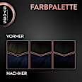 Haarfarbe 1_4 Blauschwarz Syoss