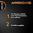 Shampoo Intense Repair syoss