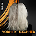 Shampoo Intense Repair syoss