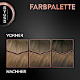 Haarfarbe 6_8 Dunkelblond Syoss