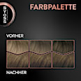Haarfarbe 6_1 Natürliches Dunkelblond Syoss