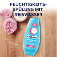 Conditioner Feuchtigkeit & Glanz schauma