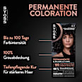 Haarfarbe 2_1 Natürliches Tiefbraun Syoss