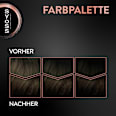 Haarfarbe 4_1 Mittelbraun Syoss