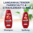 Shampoo Color Glanz schauma