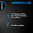 Shampoo Intense Volume syoss