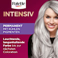 Haarfarbe U71 Kühles Silbergrau Palette Intensive Color Creme