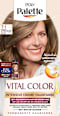 Haarfarbe Vital Color 7-1 Kühles Dunkelblond Schwarzkopf Palette